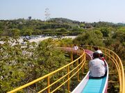 �a�ؒ��I�������������̎ʐ^3