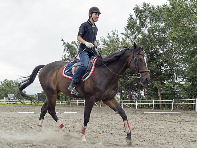 北広島乗馬クラブの遊び 体験レポート じゃらんnet