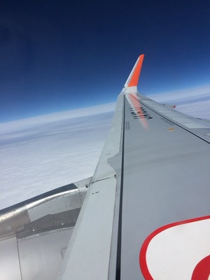 ����肠����