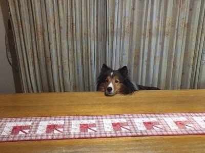 たきざわさん