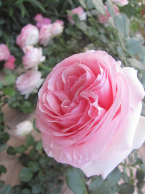 �}����������