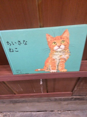さーやんさん