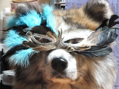 ミホッチ☆さん