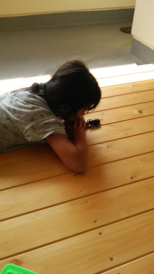 �����͂ȂЂȂ���