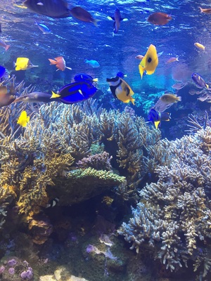 �߂��݂�����