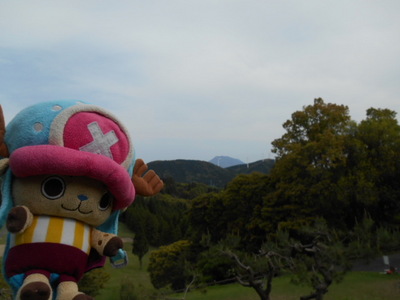 �n�j�[����