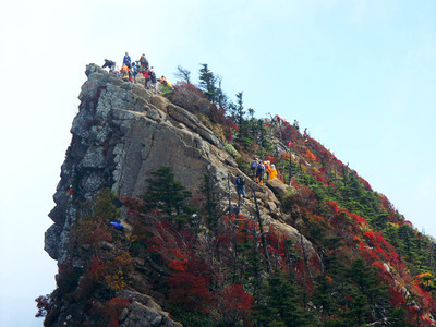 ���V������