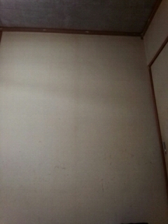 いなこさん