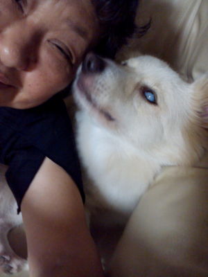 コタツ猫だワンさん