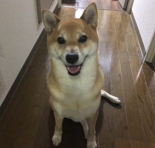 ���΂肭����