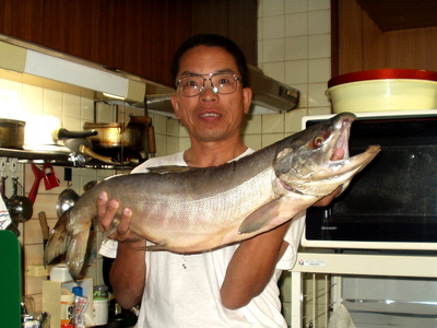 �ނ�t����