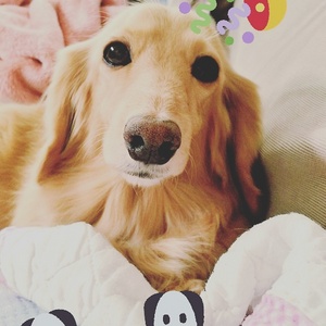 ���C�v������