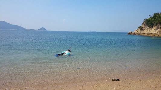 とーこさん
