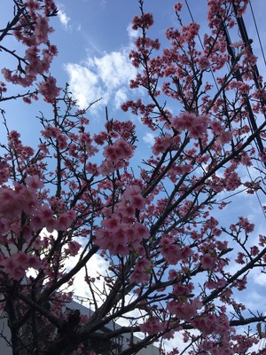 あきちゃんさん