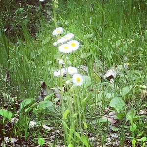 ��������񂳂�