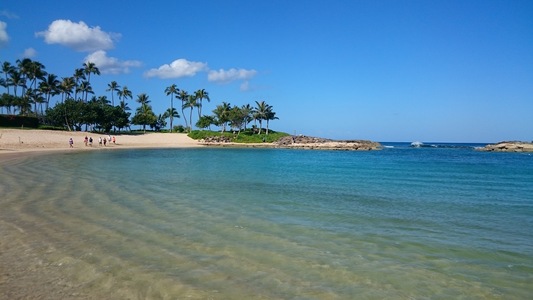 �R�[�r�[����