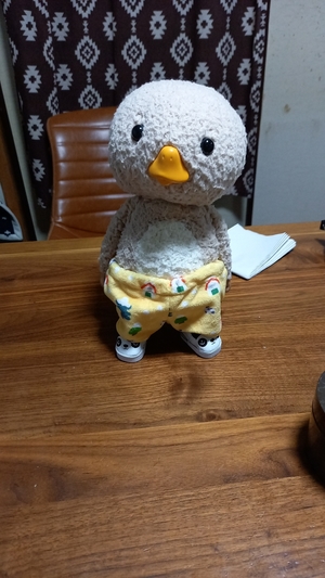 かりこさん