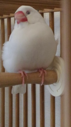 ゆうきさん