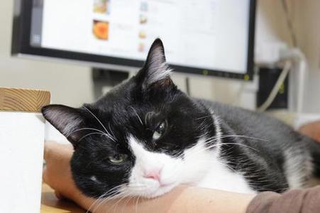 �I��肾�˕�������