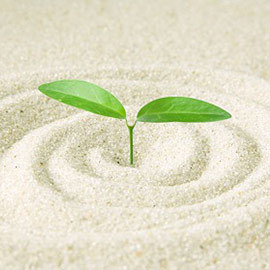 �T�[����80������