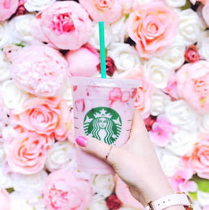 ぴんくうさぎさん