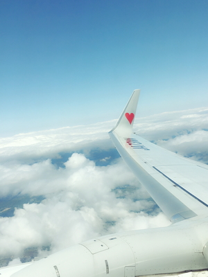かなっぷるさん