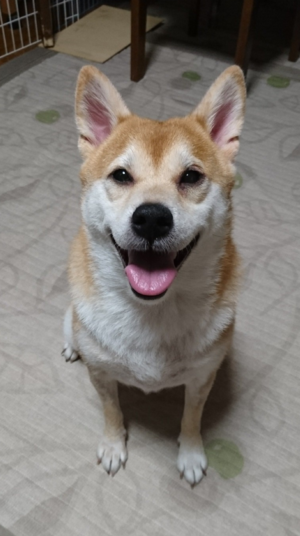 優姫さん