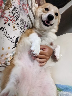 ザビエルさん