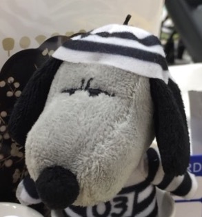 �䂤��������