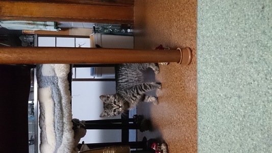 �I�v�N����