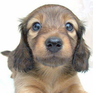 �I�_����