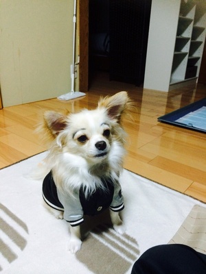 優美ぼんさん
