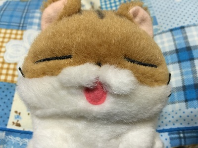 よんじさん