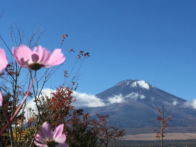 旅行三昧さん