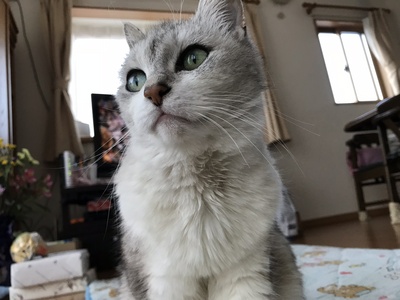 マルさん