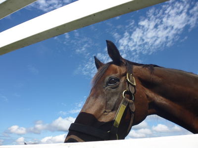 ��555����