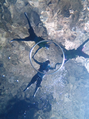 だいふくもちさん