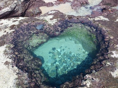 eir410-f.r.i.s.k-@docomo.ne.jp