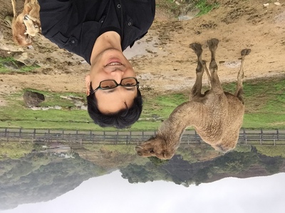 ゴーさん