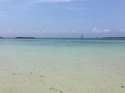 �����₳��