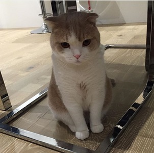 ゆーださん