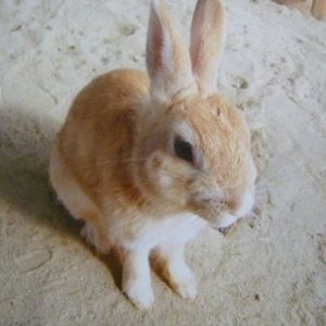 �J�Y����