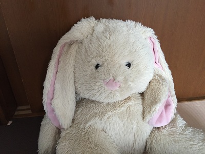 ゆきさんさん