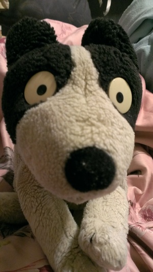 �|�v��������