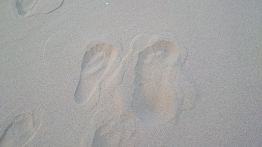 ヨコスキーさん