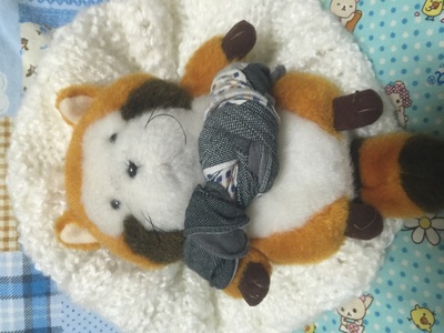 たぬたんさん