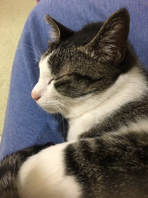 �n�b�V�B����