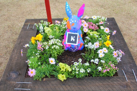 ���傱����