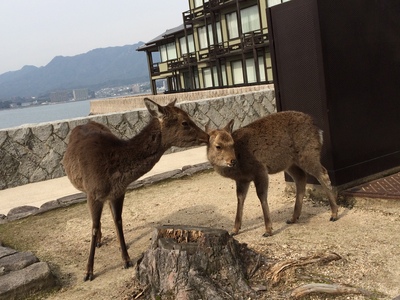 あきさん