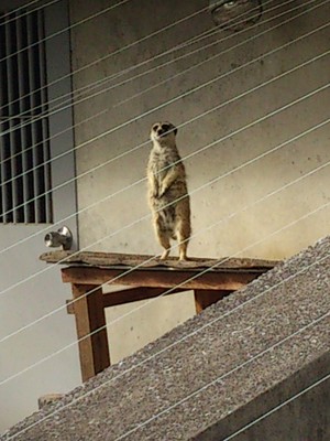 ナオさん